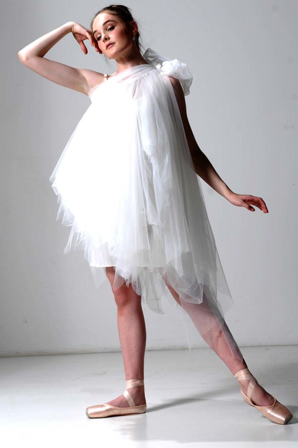 Swan Lake Tutu