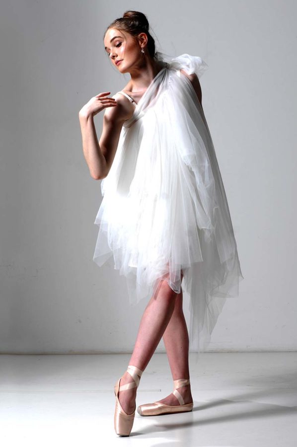 Swan Lake Tutu