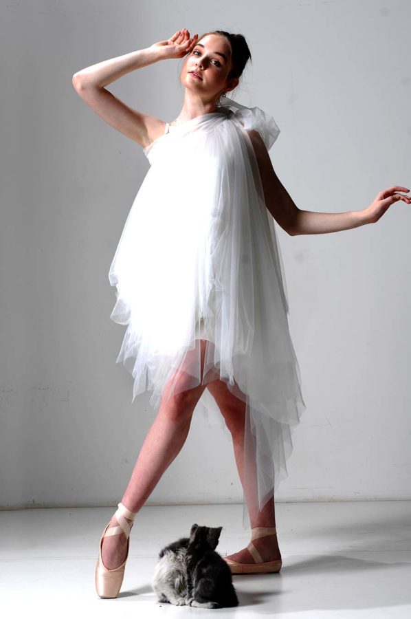 Swan Lake Tutu