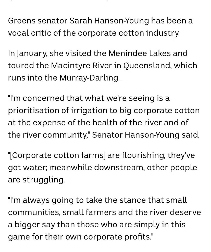 Greens senator Sarah Hanson makes a stand against cotton farming at the expense of other industries