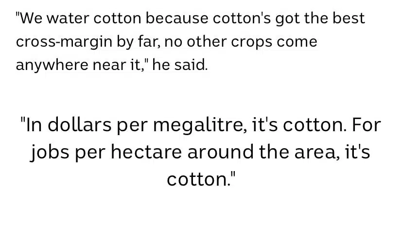 cotton farming is big business for corporations